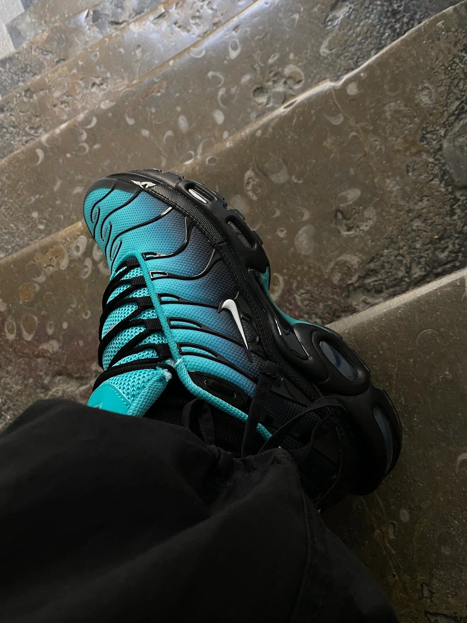 Nike Air Max Plus TN Caribbean Sea/Palm/Black Aqua Gradient