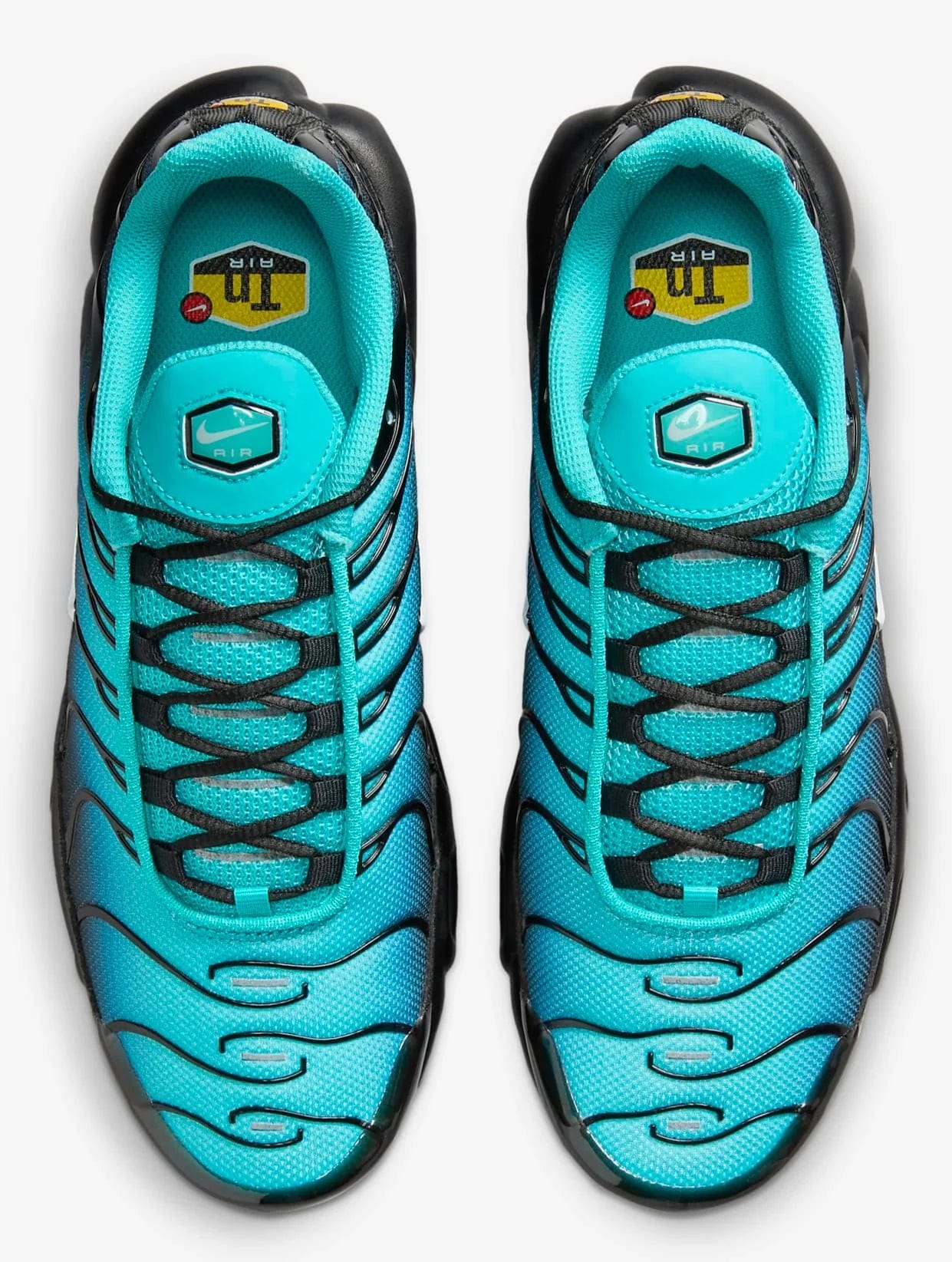 Nike Air Max Plus TN Caribbean Sea/Palm/Black Aqua Gradient